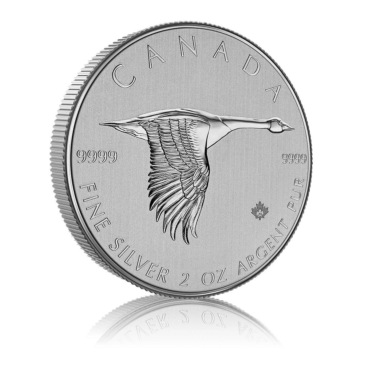 2oz Silver Canada Goose (2020) 5